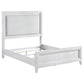 Marielle Queen Upholstered Panel Bed Distressed White