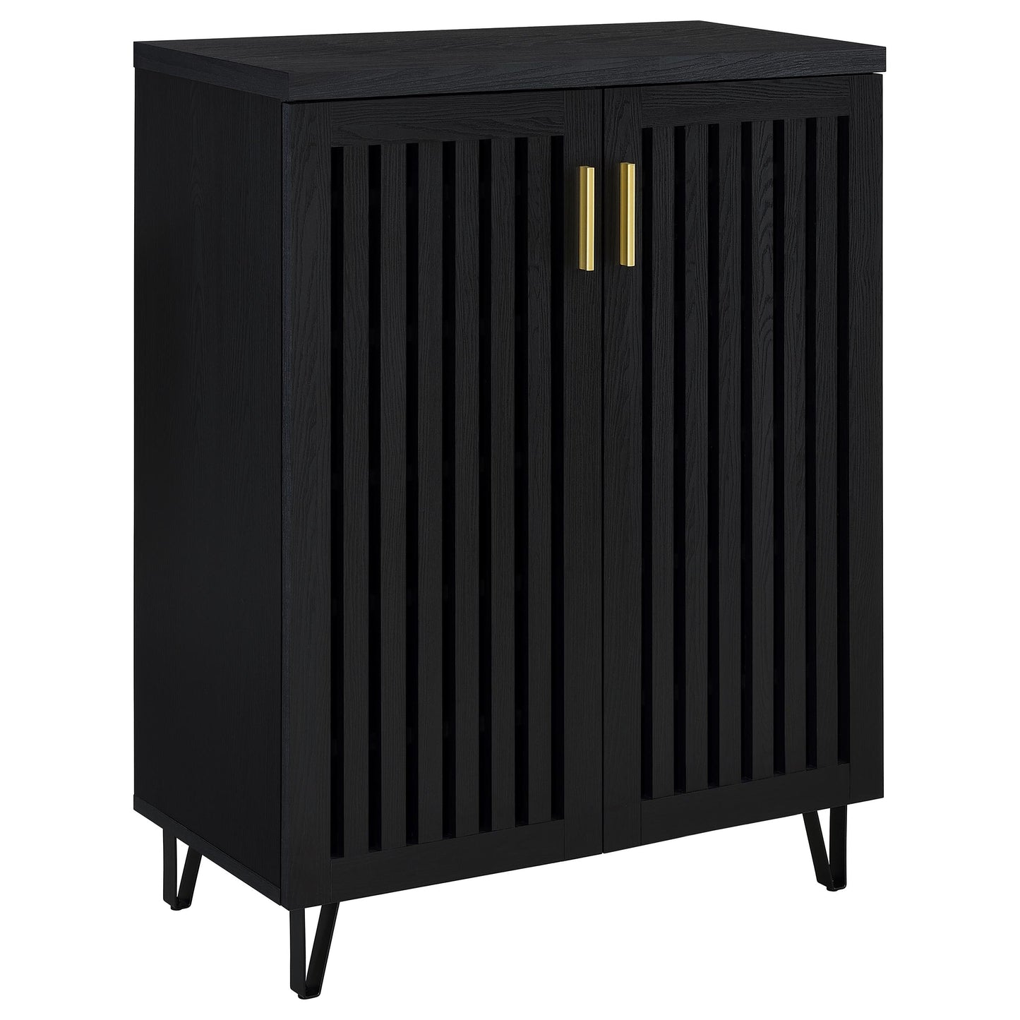 Brixton 2-door Entryway Shoe Storage Cabinets Black