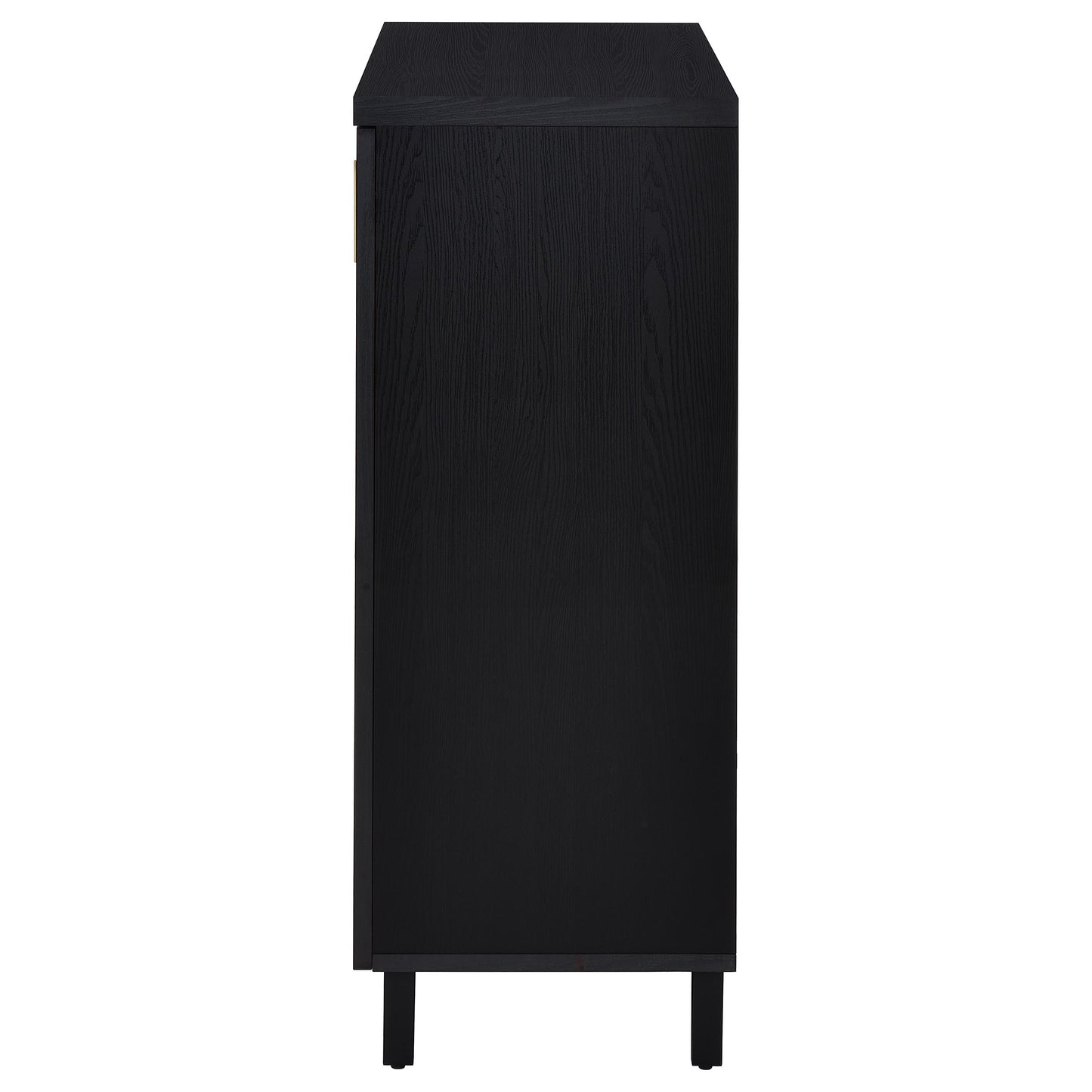 Brixton 2-door Entryway Shoe Storage Cabinets Black